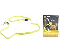 Manahee Pawni | Laisse Jogging LED USB | Jaune Néon | 200 x 2,5 cm