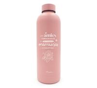 Manahia bouteille isotherme cadeau marraine - Les amies formidables font toujours des marraines d'exception - 500ml - gourde isotherme en acier inoxydable - gourde, annonce marraine, demande marraine