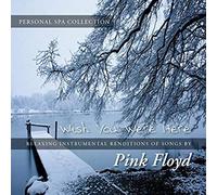 Mancebo,Judson - The Personal Spa Collection: Pink Floyd [Import]