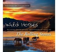 Mancebo,Judson - The Personal Spa Collection: the Rolling Stones
