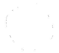 manche Dornbracht D60 mm 092074004-06 platine mat