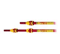 Manche télescopique pour échenilloir - OUTIFRANCE - 6 m - Léger et pratique