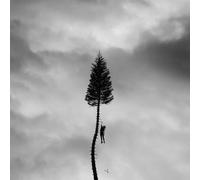 Manchester Orchestra - A Black Mile to the Surfac
