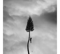 Manchester Orchestra A Black Mile to the Surface (Vinyl) 12" Album
