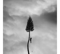 Manchester Orchestra – A Black Mile to the Surface – Vinyle