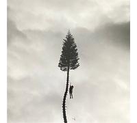 Manchester Orchestra - Black Mile To The Surface (2 LP)