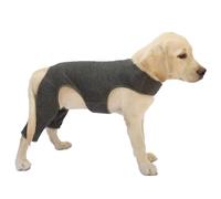 Manchon de coude pour chien pour membre blessé favorise le confort de la jambe arrière de l'animal