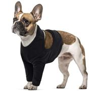 Manchon de Récupération pour Patte Avant, Chien Coude Protecteur Joint Protecteur de Jambe pour Chien Protection des Genou pour Chiens Petit Moyens de Grande Taille(Noir, M)