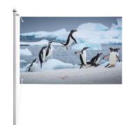 Manchot,Drapeau de jardin, bannière décorative, drapeau double face, 2 x 3 pieds, pour extérieur et intérieur