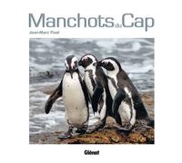 Manchots du Cap