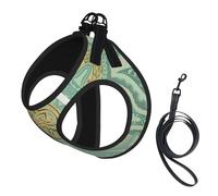 Mandala Celtique Vert Sauge Doux et Or,Harnais pour Animaux de Compagnie, Harnais réfléchissant réglable pour Chien,S