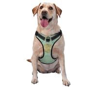 Mandala Celtique Vert Sauge Doux et Or,Harnais pour Animaux de Compagnie, Harnais réfléchissant réglable pour Chien,XL