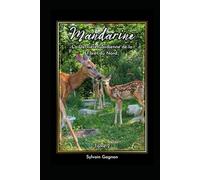 Mandarine, la dernière gardienne de la forêt du Nord.: Les stratégies élaborées