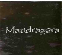 Mandragora