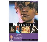 Mandragora [Import anglais]