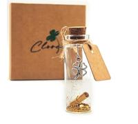 MaNeaz Porte Bonheur Petits Porte-Bonheur Trefle A 4 Feuilles Un Trèfle À Quatre Feuilles Dans Une Bouteille Porte Bonheur Pour Cadeaux D'Encouragement Porte-Bonheur Coffret Cadeau Inclus(A)