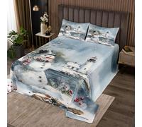 Manfei Couvre-lit d'hiver de Noël pour enfants, pour très grand lit, motif phare, bonhomme de neige, décoration de chambre de filles et garçons, couvre-lit matelassé poinsettia de style ferme, gris et