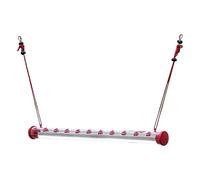 Mangeoire à colibri - À suspendre à l'extérieur avec fossé à fourmis | Plateau anti-fuite avec 10 ports d'alimentation, mangeoires de jardin pour colibris et perroquets pour l'extérieur du jardin