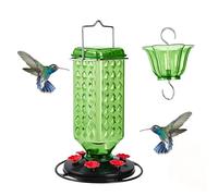 Mangeoire à Colibris Anti-Fourmis, Suspendue Anti-Fuite, Facile à Nettoyer, Transparente et Résistante aux Intempéries, pour Jardin, Balcon et Extérieur (Vert)