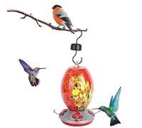 Mangeoire à colibris, Outil d'alimentation pour Oiseaux, mangeoires à colibris en Verre soufflé à la Main, Dispositif d'alimentation pour Oiseaux, mangeoire à colibris pour (T1)