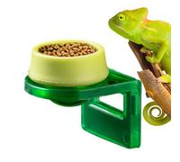 Mangeoire à crête pour gecko - Bols amovibles pour terrarium | Rebord d'alimentation arboréal | pour caméléon aboréal de petits animaux de compagnie, amphibiens, iguanes, anoles