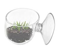 Mangeoire à crevettes, avec ventouse flottante, support d'alimentation pour ver rouge, pour terrarium, Betta, crevettes, tortue, crabe, grenouille, gecko, dragon barbu, tortue, reptile, serpent