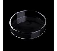 Mangeoire à crevettes en acrylique pour poissons d'aquarium - Plateau d'alimentation pour reptiles - Bol rond transparent - 6,1 cm de diamètre - Chauffage lumineux - Thermomètres - gravier