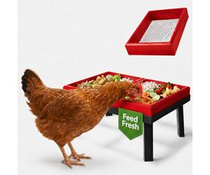 Mangeoire à déchets de cuisine pour poulets, support en métal avec deux | Plateaux en bois amovibles de grande capacité, mangeoire pour poulet, légumes et restes de compléments alimentaires