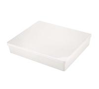 Mangeoire à Eau en Plastique pour Abeilles, Bol à Boire pour Abeilles mellifères, capacité de 4 L, équipement d'apiculture avec Conception à Petits Trous, Outil d'apiculture