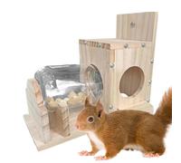 Mangeoire à écureuils juste pour écureuils - Boîte d'alimentation naturelle intéressante à suspendre avec bouteille transparente | Structure murale en bois robuste pour écureuils dans le jardin