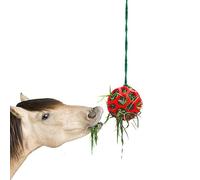 Mangeoire à foin pour cheval - 13,5 cm de diamètre - Jouet de fourrage durable à suspendre, équipement d'enrichissement de stalle stable, boule d'alimentation à foin pour soulager le stress - Pour