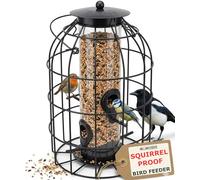Mangeoire à graines pour oiseaux sauvages anti-écureuils - Cage en métal durable et résistante aux intempéries - Mangeoire en tube facile à remplir pour oiseaux de jardin toute l'année