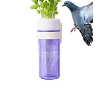 Mangeoire à légumes pour perroquets - Mangeoire pour perroquets avec Design de Stockage d'eau pour Cage | Fournitures d'alimentation pour Oiseaux de Compagnie | Les Verts Frais pour Les Conures