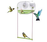 Mangeoire à oiseaux automatique transparente avec spirale forte ventouse pour perruche, canari, calopsitte perroquet (vert)