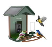 Mangeoire À Oiseaux Connectée Avec Détection Des Espèces Par Ia - Camouflage