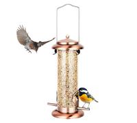 Mangeoire À Oiseaux en Métal,À Orifices Multiples Anti Écureuils,Mangeoire pour Oiseaux Protégée Contre Les Écureuils - pour Animaux De Compagnie Maison Balcon Cour Jardin Terrasse Intérieur