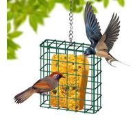 Mangeoire à oiseaux en métal à suspendre | Sauvage | Anti-écureuil | Carré en fer | Support de nourriture avec chaîne pour jardin, balcon, porche et arbres