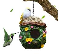 Mangeoire à oiseaux en résine colorée résistante aux intempéries pour observer les oiseaux sauvages en plein air
