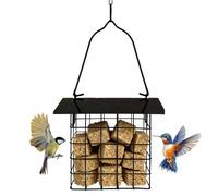 Mangeoire à oiseaux - Mangeoire à oiseaux en métal avec capacité | Mangeoire à colibri suspendue | Pour les oiseaux sauvages y compris les pinsons colibris et les mailles dans le patio du jardin