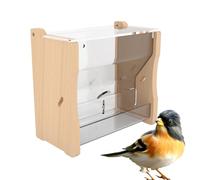 Mangeoire à pigeons - Taille moyenne | Mangeoire à cailles | Mangeoires et abreuvoirs pour poussins et abreuvoirs faciles pour nourrir facilement la volaille, l'agriculture et l'utilisation