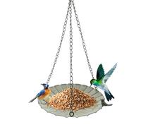 Mangeoire à Plateau Oiseaux,Bol en Fer Accrochable à Grande Capacité - pour Corbeaux - pour Nourrir Jardin Cour Terrasse Garde-Corps Balcon Attirer Colibris Sauvages