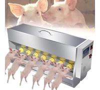 Mangeoire à porcelet en acier inoxydable à température constante avec son de truie, distributeur automatique de lait pour agneaux et petits bovins