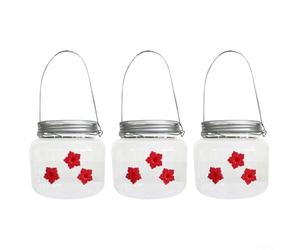 Mangeoire à suspendre pour colibri avec 3 points d'alimentation et section transparente pour une visibilité en extérieur (3)