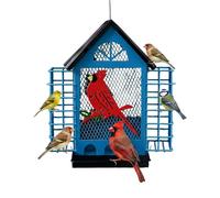 Mangeoire anti-écureuil pour oiseaux - Station d'observation des oiseaux équipée d'une double boîte à graisses - Mangeoire pour oiseaux en plein air et anti-écureuils, pour pinsons, agapornides