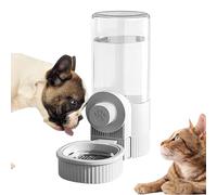 Mangeoire automatique pour chats - Conteneur de nourriture pour animaux de | compagnie avec station d'eau | Bol pour chiens qui est, stockage de nourriture sèche de grande capacité, support
