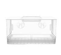 Mangeoire automatique pour fenêtre - Boîte à oiseaux clairs - Plateau à ventouse - Toit amovible - Dispositif de jardin résistant aux intempéries - Animaux sauvages en plein air - Observateur