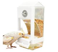 Mangeoire automatique pour oiseaux - Crochet sécurisé amovible anti-déversement, mangeoire automatique pour perroquets - pour les amateurs de famille, jardin, pelouse, cour, colibri, maison