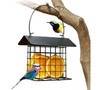 Mangeoire d'extérieur en métal résistant à la rouille - Design anti-écureuil - Mangeoire de jardin suspendue pour oiseaux sauvages