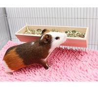 Mangeoire en Bois pour Cochon d'Inde, Bol Alimentaire Suspendu, Accessoire pour Cage de Lapins, Chinchillas, Hamsters et Petits Animaux