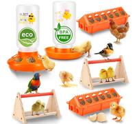Mangeoire et abreuvoir pour poussins avec mini perchoir